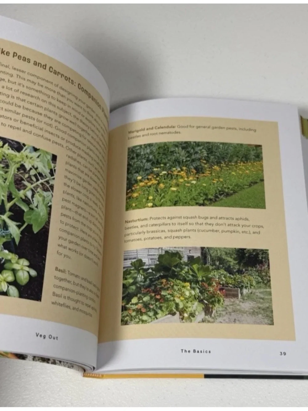 Veg Out; A Stress-Free Guide to Creating Your First Vegetable Garden